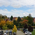 DSC03508.JPG