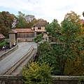 DSC03509.JPG