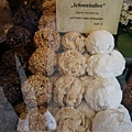 DSC03546.JPG