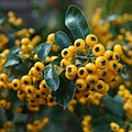 DSC03829.JPG