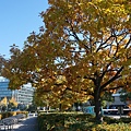 DSC04565.JPG