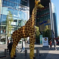 DSC04568.JPG