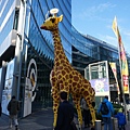 DSC04569.JPG