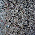 DSC04596.JPG