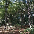 DSC04598.JPG