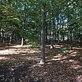 DSC04600.JPG