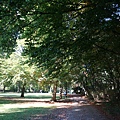 DSC04601.JPG