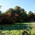 DSC04602.JPG