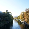 DSC04621.JPG