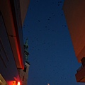 DSC04681.JPG