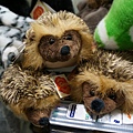 DSC04687.JPG