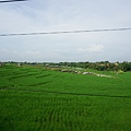 DSC01179.JPG