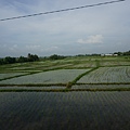DSC01180.JPG