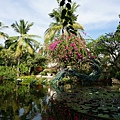 DSC01633.JPG