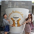 DSC01768.JPG