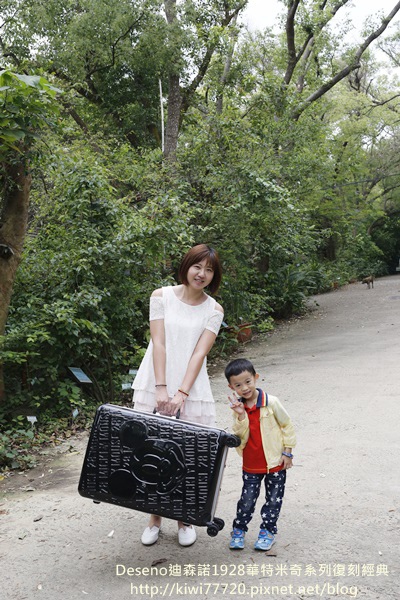 Deseno迪森諾1928華特米奇系列復刻經典9262 Deseno迪森諾1928華特米奇系列復刻經典9262