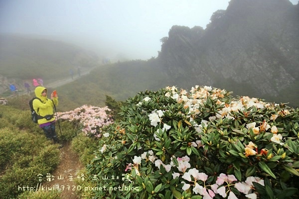 IMG_1667 IMG_1667
