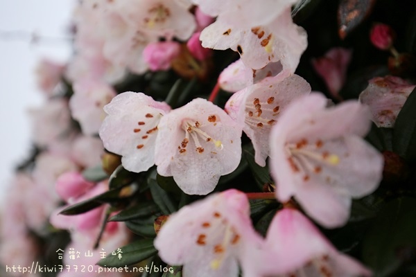 IMG_1714 IMG_1714
