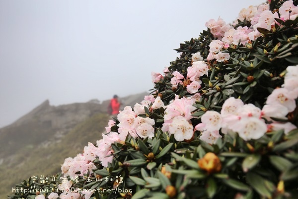 IMG_1708 IMG_1708