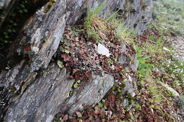 IMG_1648 IMG_1648