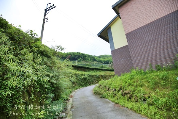 IMG_2362 IMG_2362
