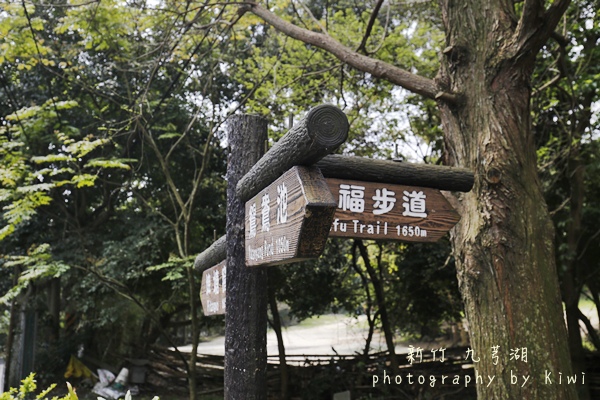 _MG_7931 _MG_7931