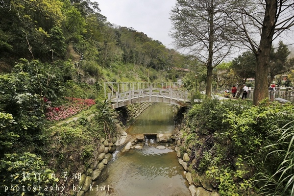 _MG_7933 _MG_7933