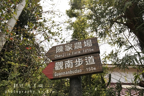 _MG_7956 _MG_7956