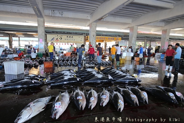 IMG_4028 IMG_4028