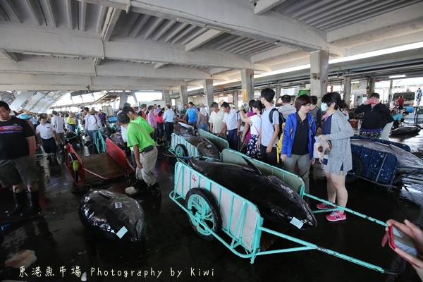 IMG_4041 IMG_4041