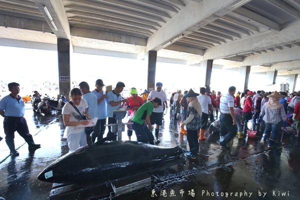 IMG_4098 IMG_4098