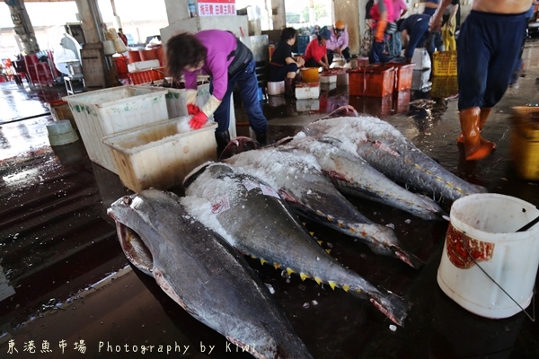 屏東東港漁會黑鮪魚專賣區3953