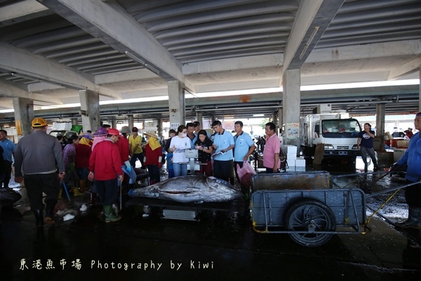 IMG_4107 IMG_4107