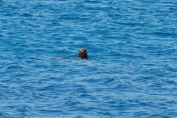 20160628_4079 20160628_4079