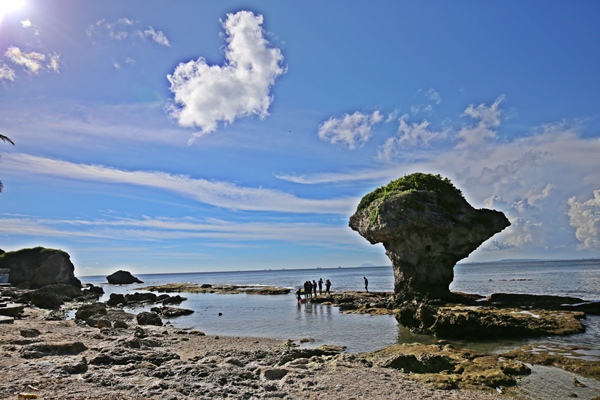IMG_3678 IMG_3678