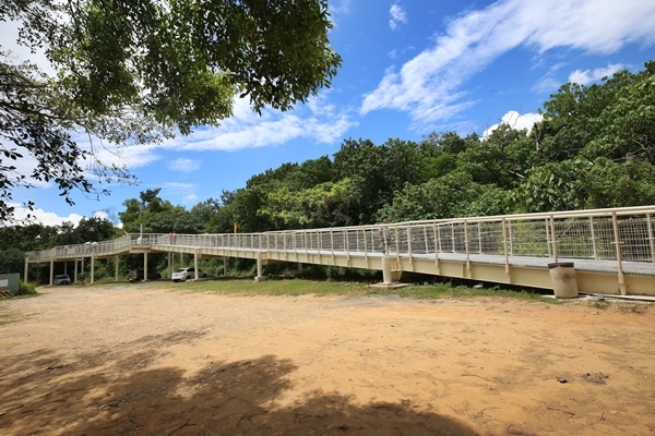 彰化八卦山天空步道5576 彰化八卦山天空步道5576