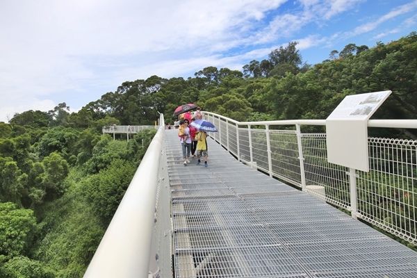 彰化八卦山天空步道5592 彰化八卦山天空步道5592