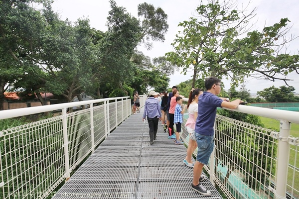 八卦山天空步道全台最長藝術高中八卦山一日遊5357