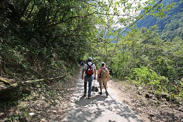 花蓮秀林景點銅門慕谷慕魚生態廊道步行四小時銅門發電廠銅門派出所翡翠谷清水發電廠龍澗發電廠清流發電廠6602