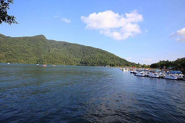 IMG_6778 IMG_6778
