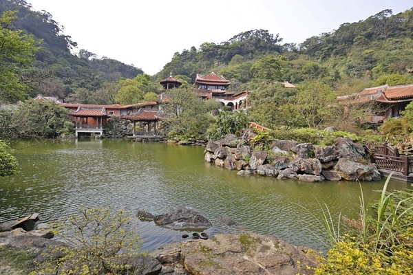 _MG_8156 _MG_8156