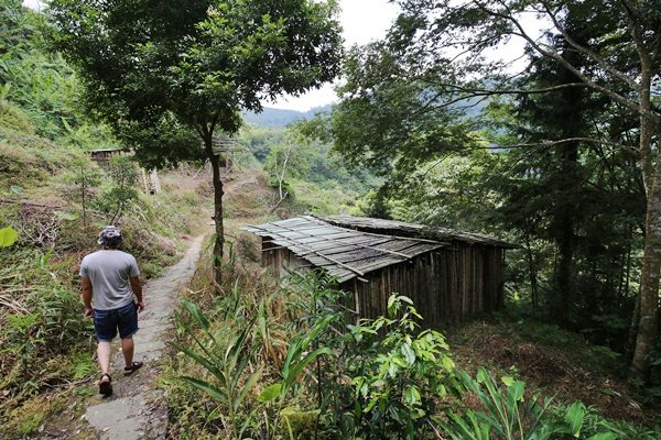 南投鹿谷小半天瀑布大崙山茶園武岫農場一日遊7002 南投鹿谷小半天瀑布大崙山茶園武岫農場一日遊7002