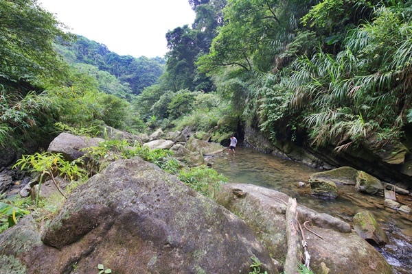 南投鹿谷小半天瀑布大崙山茶園武岫農場一日遊7025