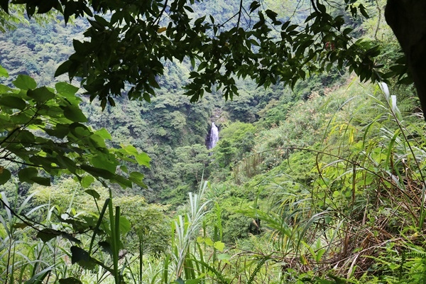 南投鹿谷小半天瀑布大崙山茶園武岫農場一日遊7001 南投鹿谷小半天瀑布大崙山茶園武岫農場一日遊7001