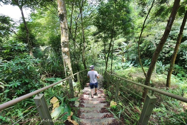 南投鹿谷小半天瀑布大崙山茶園武岫農場一日遊6998