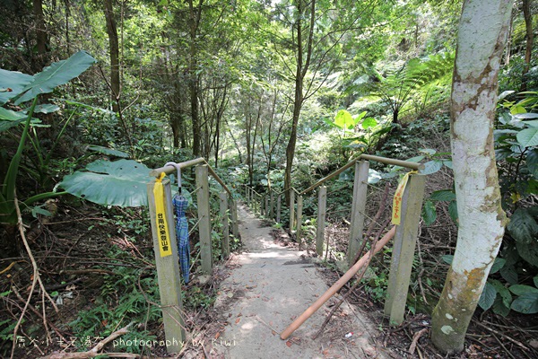 南投鹿谷小半天瀑布大崙山茶園武岫農場一日遊6988