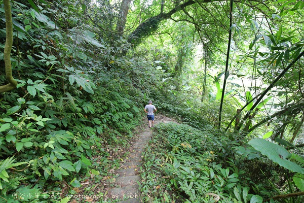 南投鹿谷小半天瀑布大崙山茶園武岫農場一日遊7008