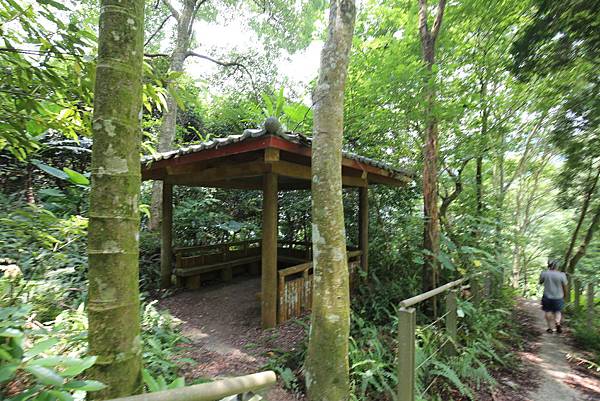 南投鹿谷小半天瀑布大崙山茶園武岫農場一日遊6997 南投鹿谷小半天瀑布大崙山茶園武岫農場一日遊6997