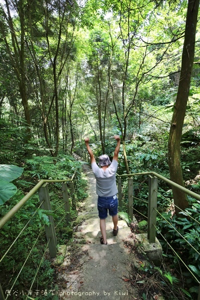 南投鹿谷小半天瀑布大崙山茶園武岫農場一日遊6991 南投鹿谷小半天瀑布大崙山茶園武岫農場一日遊6991