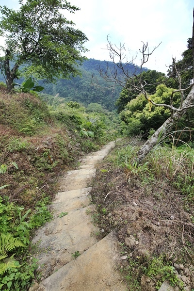 南投鹿谷小半天瀑布大崙山茶園武岫農場一日遊7003